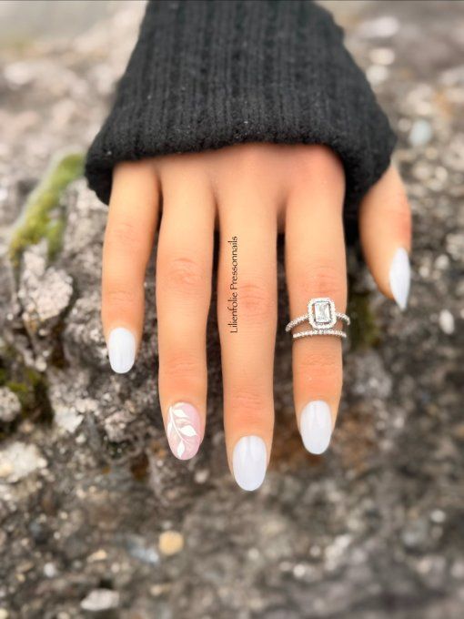 Modèle Pyrénéen 1