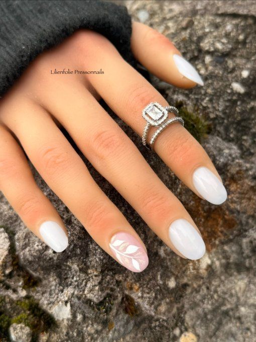 Modèle Pyrénéen 1