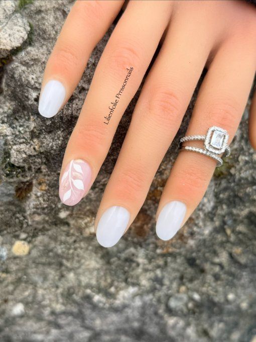 Modèle Pyrénéen 1